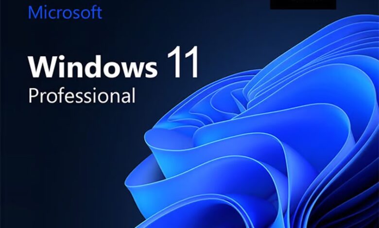 رایانه تان را با ویندوز 11 پرو به روز کنید