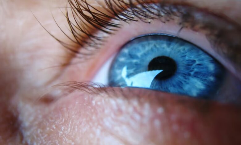 احیای بینایی در آسیب چشم با سلول های بنیادی