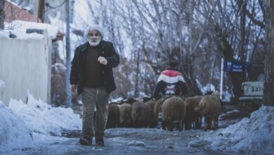 چشم بادومی