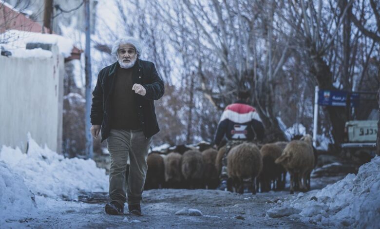 چشم بادومی