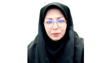 آزاده لشکری زاده، مسئول توسعه صنایع خلاق پارک علم و فناوری کرمان