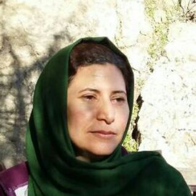 پرتو حسنیزاده، راهنمای گردشگری