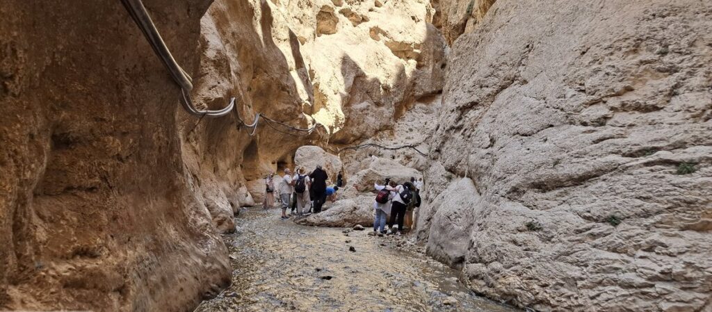 تنگه واشی