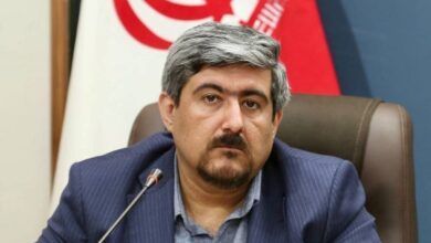 حسین یزدانشناس، مدیرکل دفتر مطالعات و دانش سینمایی سازمان سینمایی