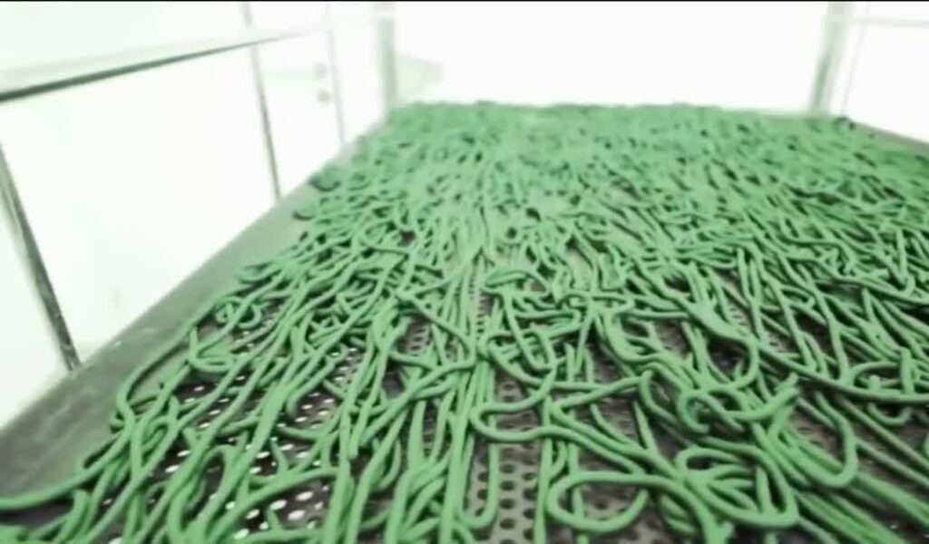سینا