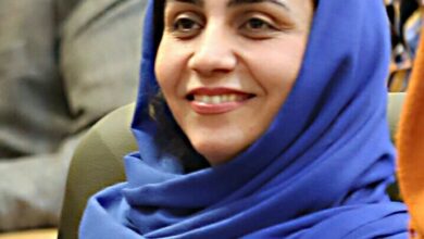 زهره نیلی، روزنامه‌نگار حوزه هنر