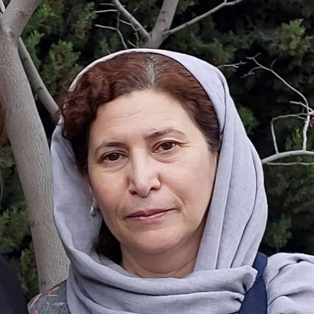 پرتو حسنی‌زاده، راهنمای گردشگری