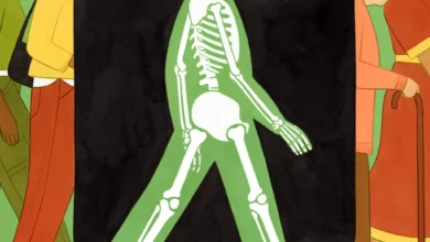 سینا
